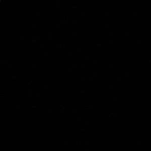 Meet your Posher, Brandy ray